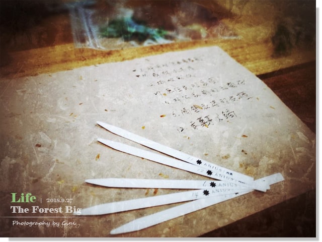 20250416-s7gka