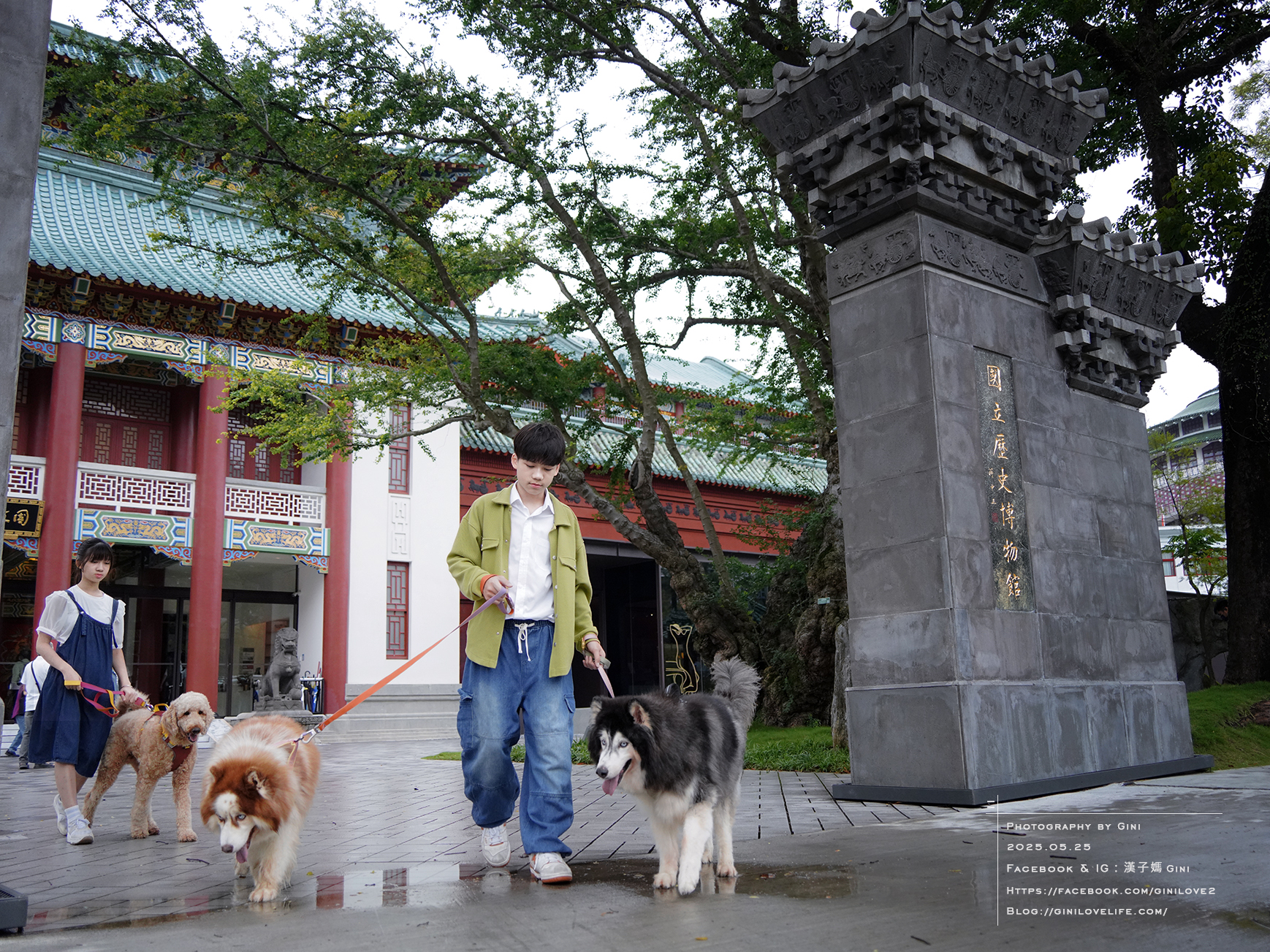 【 遛狗兼看校，孩子升學與生活美學的南海敘日常 】